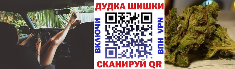 Бошки Шишки план  Сосновоборск 